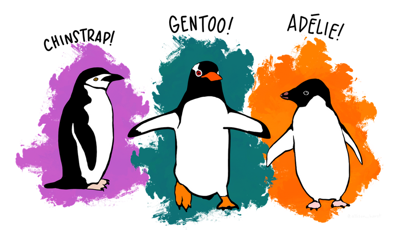 Palmer Penguins